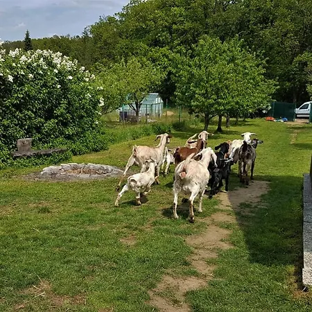 Minifarma Maderovi Farma Popuvky